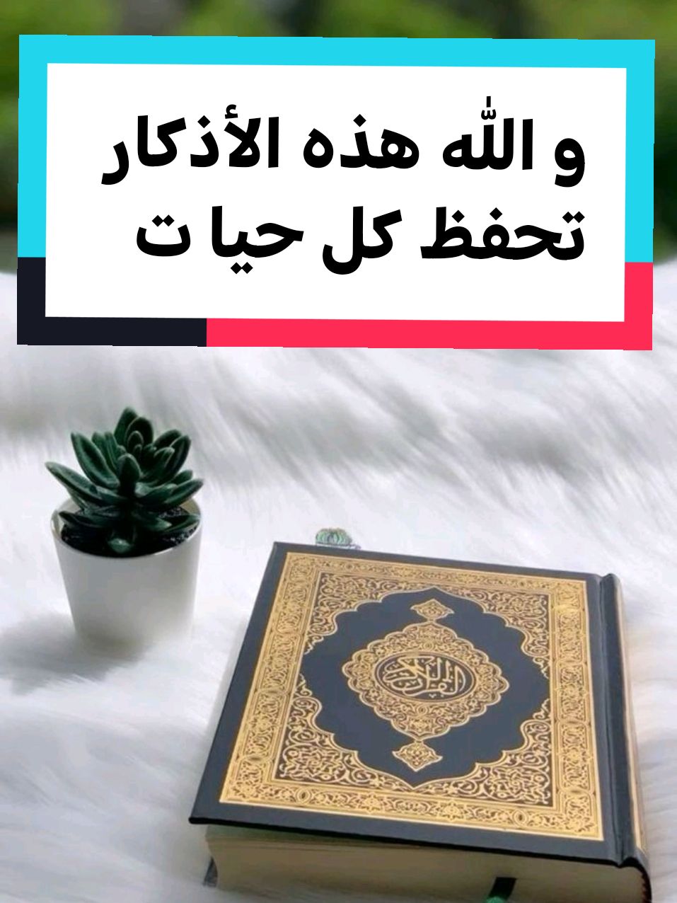 افضل ثمان ادكار @مرعي المحجوب  #يارب #قرآن_کریم #ادكار🤲🤲🤲 #قران #القرآن_الكريم #🤲🤲🤲🤲🤲🤲🤲🤲🤲🕋🕋🕋🕋🕋🕋🕋🕋  #نفسية #اللهم_صل_وسلم_وبارك_على_نبينا_محمد #🤲🤲🕋🕋🤲🤲  #أمري_لك_وحدك #لقلبك #القرآن_الكريم_راحه #القرآن_اطمئنان #اكسبلور #قرآن #فوضت #قرآن_كريم #ربي_اشرح_لي_صدري_ويسر_لي_أمري #🤲🤲🕋🕋🤲🤲 #قرآن_كريم #🤲🤲🤲  #ربنا_ولا_تحملنا_ما_لا_طاقة_لنا_به 