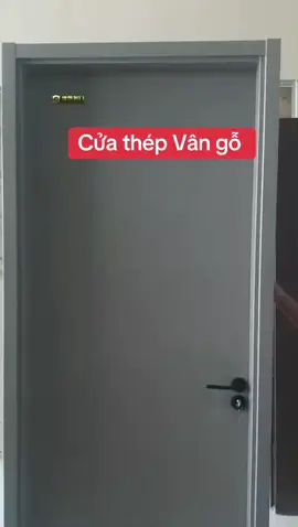 Cửa phòng thép Vân gỗ #reviewcua #cuavaonha #cuanhapho #cuacanho #cuaphong 