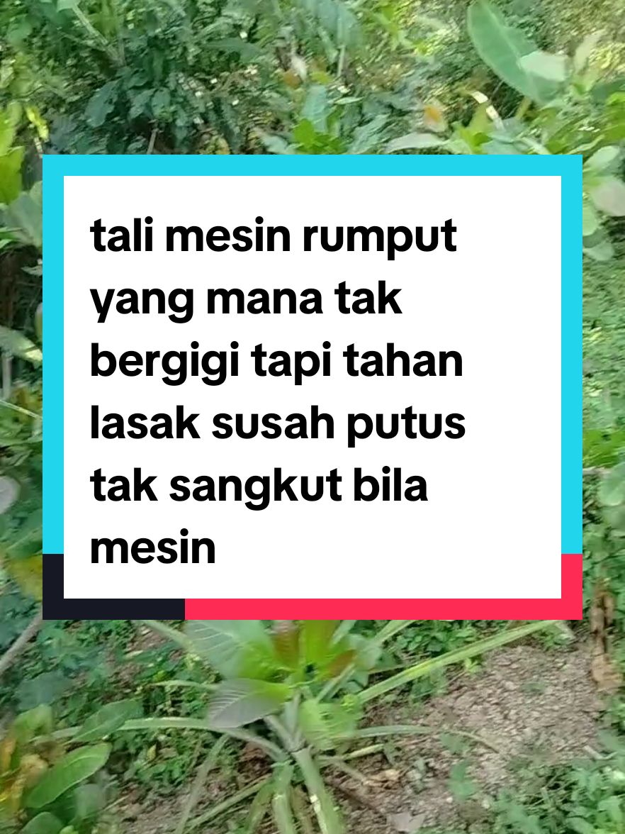 Membalas kepada @user_fazley tali mesin rumput yang mana tak bergigi tapi tahan lasak susah putus tak sangkut bila mesin #tali #talimesinrumput #talitahanlasak #talipotongrumput 