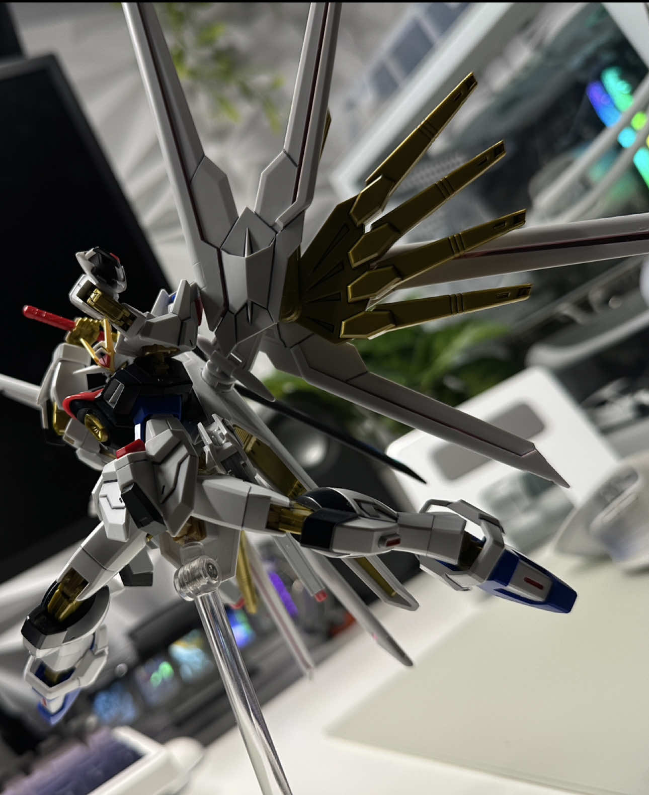 Primal #gundam #gunpla #gundamseedfreedom #gundamcommunity #gundamtiktok #mightystrikefreedomgundam 