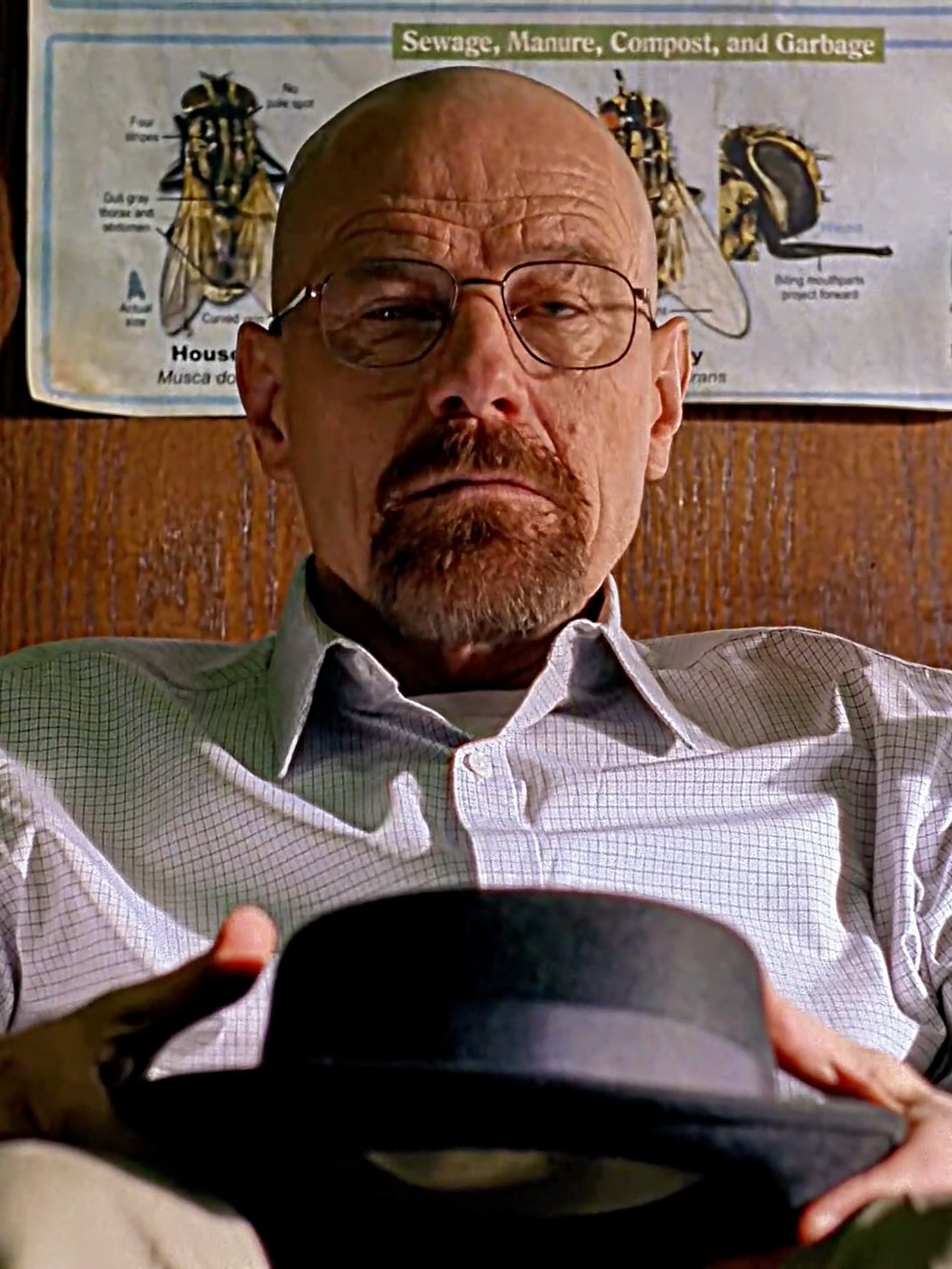 Thầy tôi mãi đỉnh.. | | Walter White  || Bryan Cranston  #breakingbad #walterwhite #bryancranston #heisenberg #walterwhiteedit #heisenbergedit