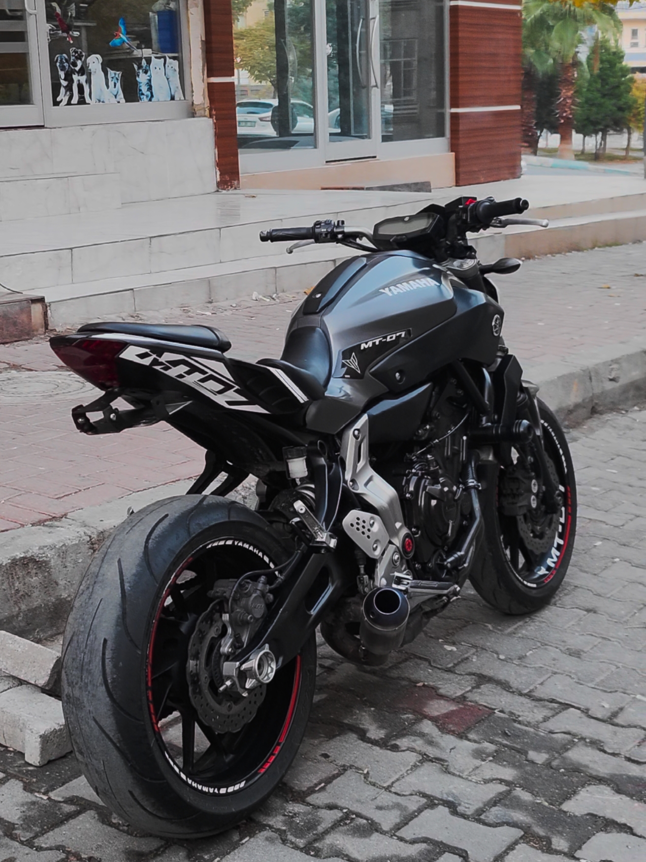 MT İLE ARAMIZDA GEÇEN DİYALOG ;) . . . . #dost #motor #moto #videoviral #şanlıurfa #motosiklet #mt07 #keşfet #gün #motorcycle #kesfetteyiz #insta #motosiklet #nature #gündem #newtrend #yeni #urfa #sanliurfa #63 