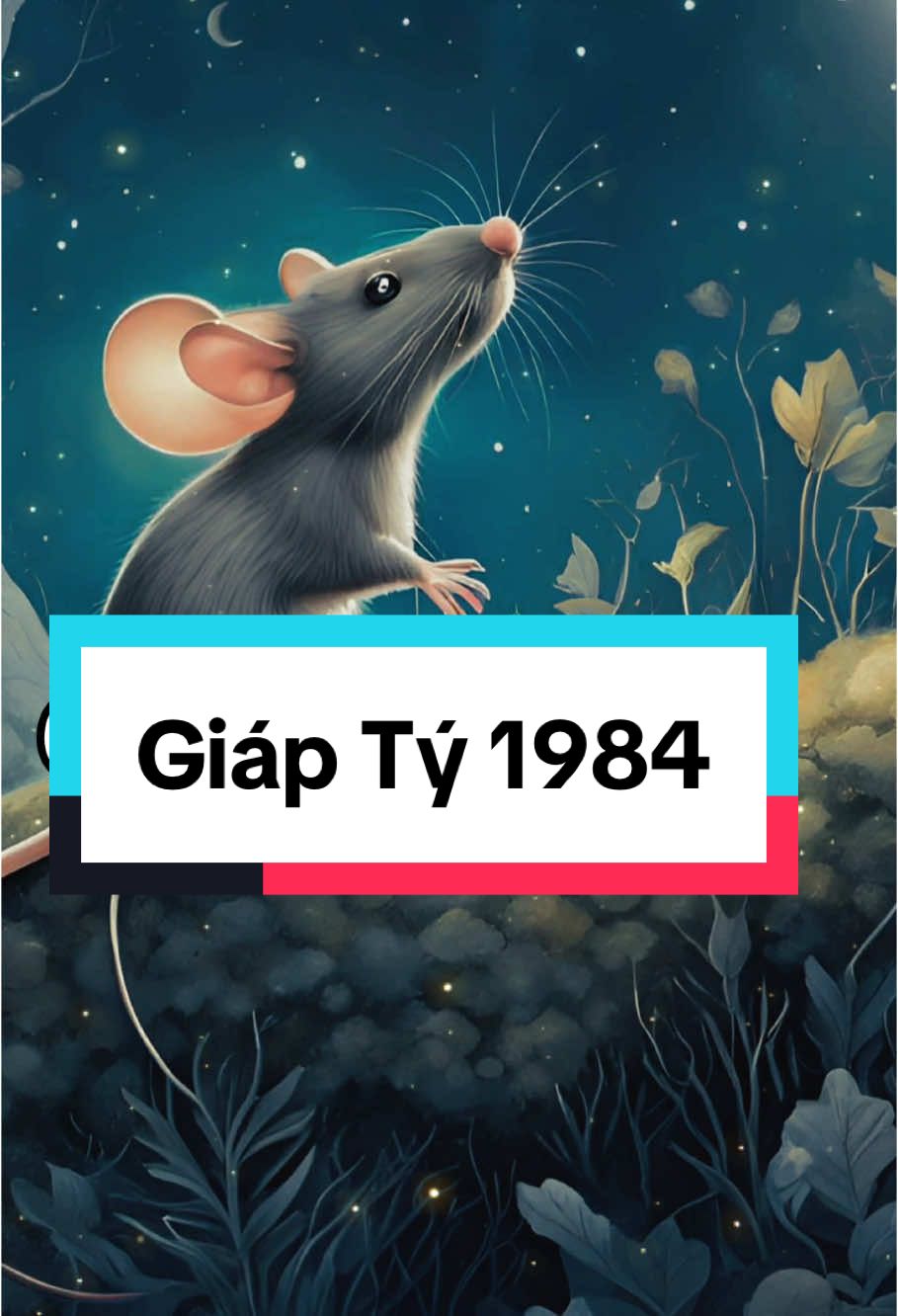 Giáp Tý 1984 chúc Giáp Tý và gia đình sức khoẻ, hạnh phúc, may mắn và bình an #newyear2025 #1991n2t #giapty1984 #tuoity2025🐀 