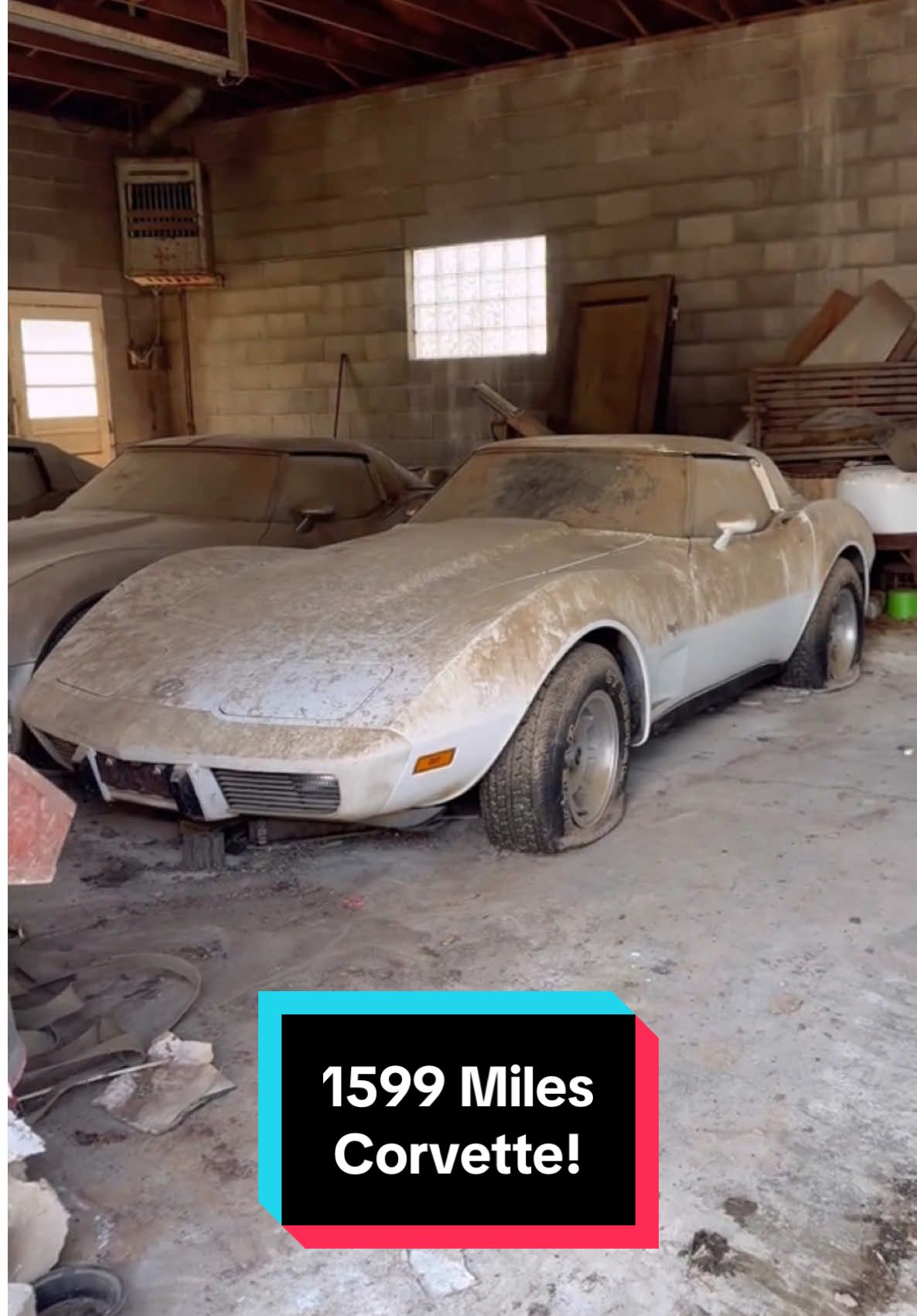 1599 Original Miles Corvette Wash! #wddetailing #detailing #carwash #carcleaning #satisfying #satisfyingvideos #barnfind #fyp #abandoned #cardetailing #corvette #pressurewashing #asmr #trend 