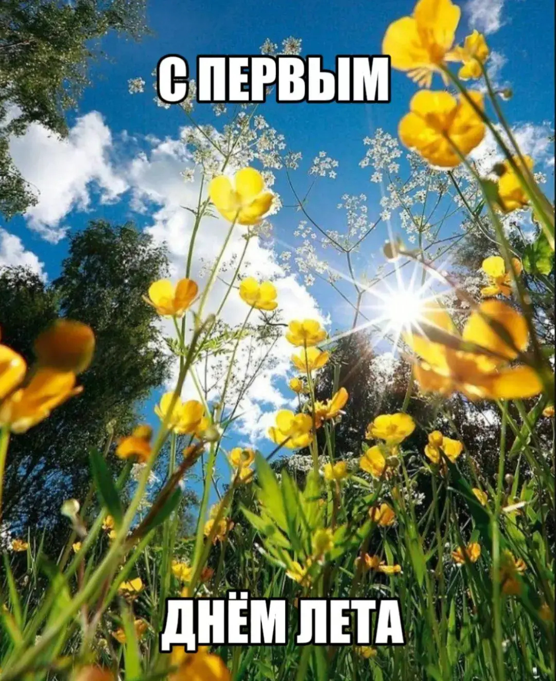 #рекомендации 