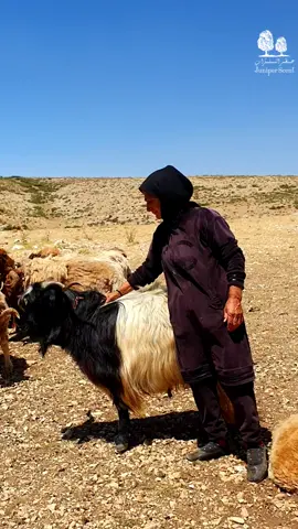 As we bid farewell to 2024, I am filled with profound gratitude for the remarkable community that has flourished around Juniper Scent. This video serves as a sincere tribute to the talented artisans behind every handcrafted creation in Lebanon, the passionate individuals committed to preserving our natural and cultural heritage, and the hardworking laborers whose dedication shapes the unique beauty of our nation. Lebanon stands as a testament to resilience and creativity, and it remains one of the most extraordinary countries in the world. #storiesoflebanon #juniperscent #lebanon #juniperscents #heritage #destination #food #CulturalHeritage