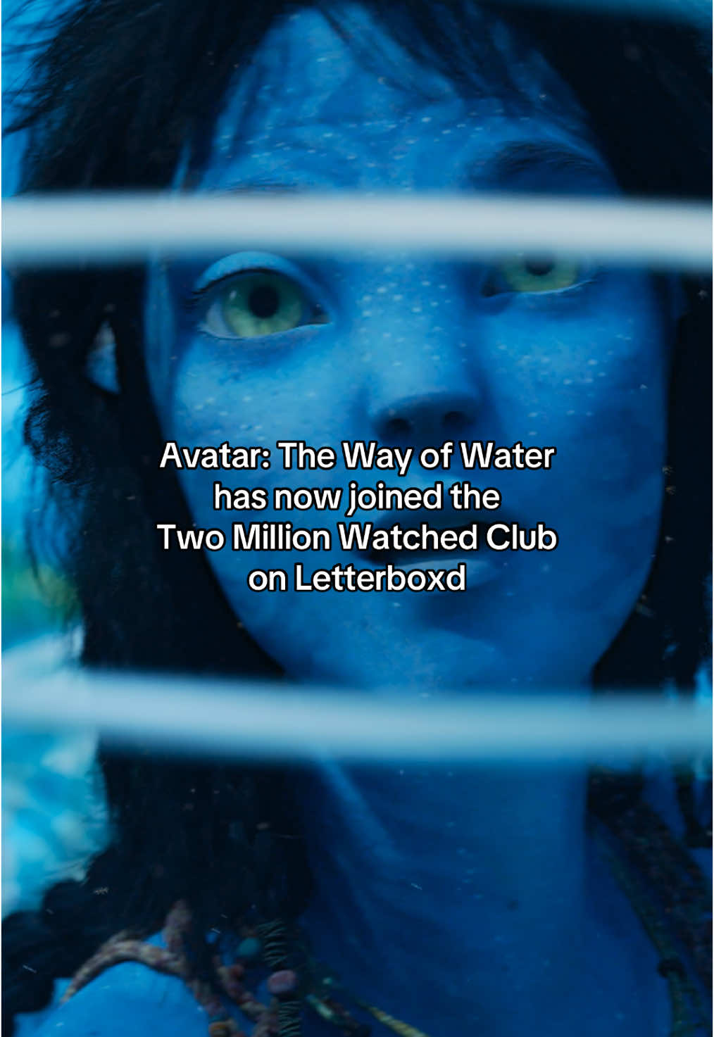 Avatar: The Way of Water has now joined the Two Million Watched Club on Letterboxd. 🌊 #letterboxd #twomillion #avatar #avatarthewayofwater #jamescameron #zoesaldana #neytiri #pandora #navi #fyp 