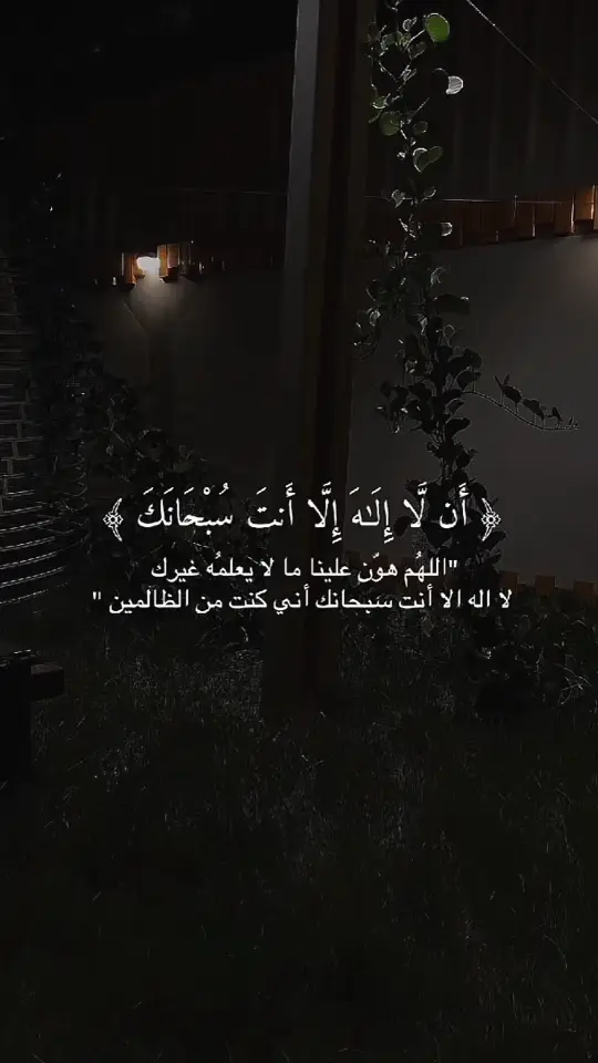 لا إله إلا انت سبحانك اني كنت من الظالمين 🤍