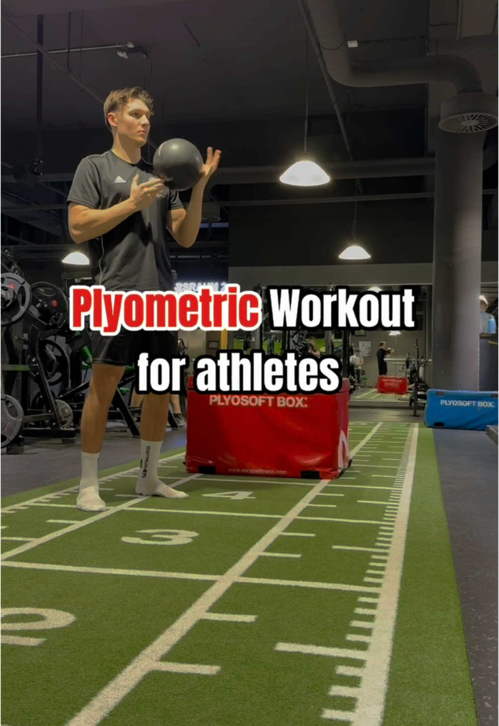 Plyometrics Workout 🦘🙌 #fyp #viral #plyometrics #plyometricstraining #jumphigher #athlete #athletestraining