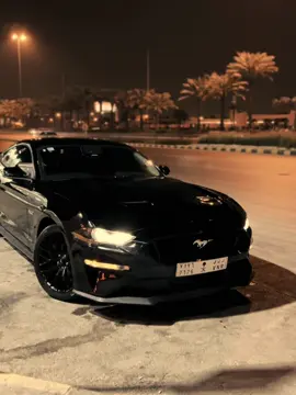 #mustang #pp1 #موستنج 