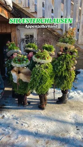 Swiss tradition 🇨🇭  When the children are a part of such old tradition like this, a special New Years Celebration in Appenzellerland, this tradition will never die.🇨🇭 Silvesterchläuse from the canton of Appenzell, Switzerland, where the new year begins twice. ‼️Soon‼️ The New Year’s Eve is celebrated twice here and in a special way. ❣️On December 31, 2024 and on January 13, 2025❣️ From early morning till midnight the „Chläuse“ wander around, ringing their special bells. They stop mainly at farmhouses and in places where they know they will be welcomed with joy. When they arrive, they stand in a circle and ring their bells in a special ritual. Once greeted by the inhabitants, the „Chläuse“ begin singing a „Zäuerli“. „Zäuerle“ is a wordless, almost sacral sounding yodel which is typical of the canton of Appenzell. _ #impressiveswitzerland #swisstradition #silvesterchlausen #silvesterchläuse #appenzell #urnäsch #switzerland #schweiz #thebestofswitzerland #inlovewithswitzerland #exploreswitzerland  #swiss