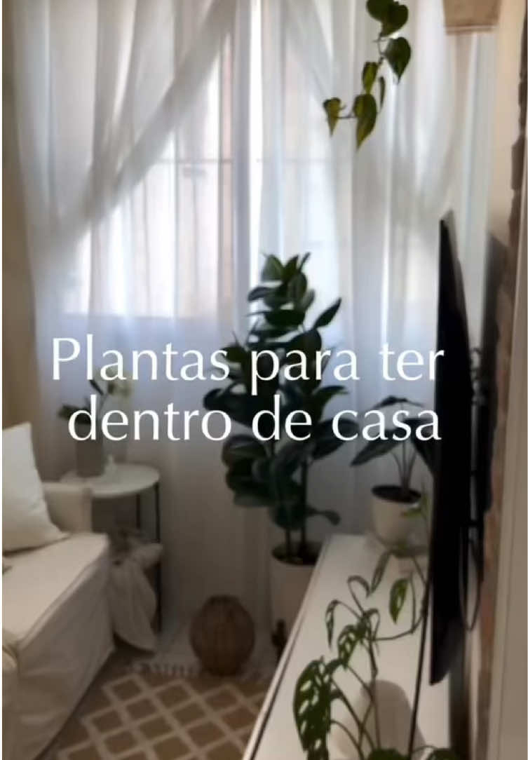 Qual você teria? 🪴 #designdeinteriores #plantas #casadecorada #decoracao 