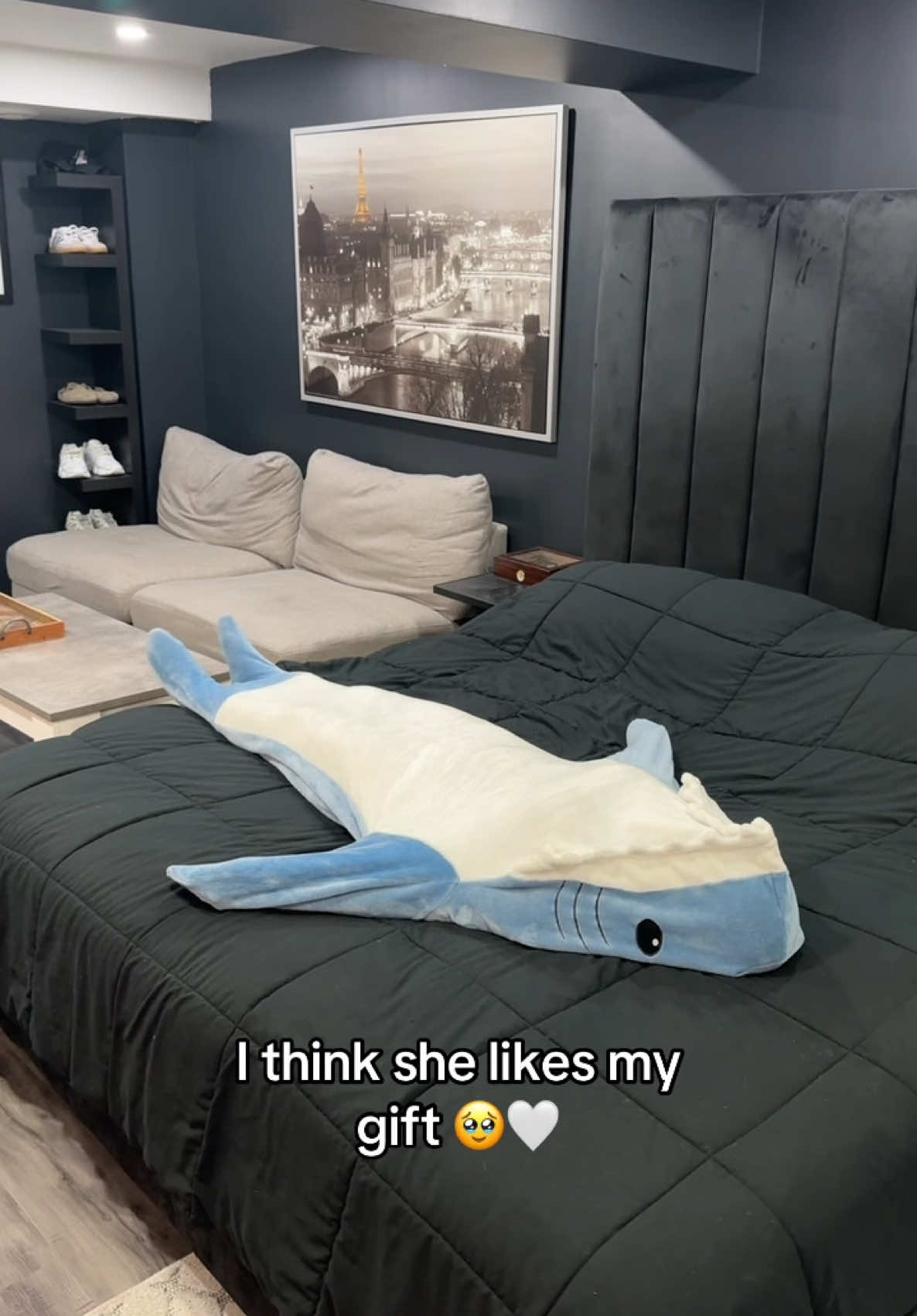 I can’t w/ this girl 😂 #trending #viralfinds #viral #couplegoals #cozyshark #sharkblanket #foryoupage #fy 