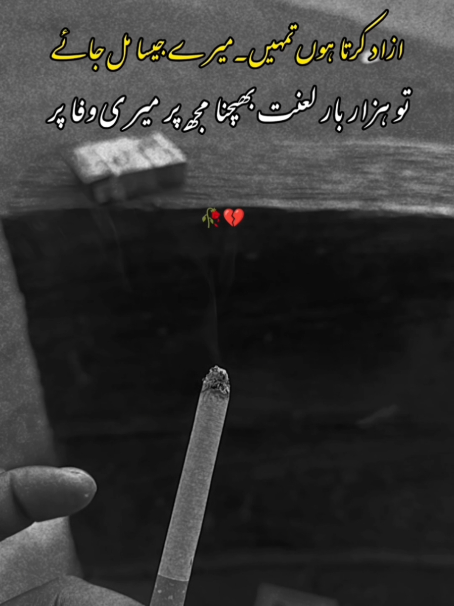 ❤️‍🩹 Malik ❤️‍🩹 wahab ❤️‍🩹#حقیقت_زندگی #💔🥀🥺🖤 #for #for #for #@موسیٰ عامر #@😎 ỉᡶక-ꪑꪖلỉƙ 😎 #@malikdan07 