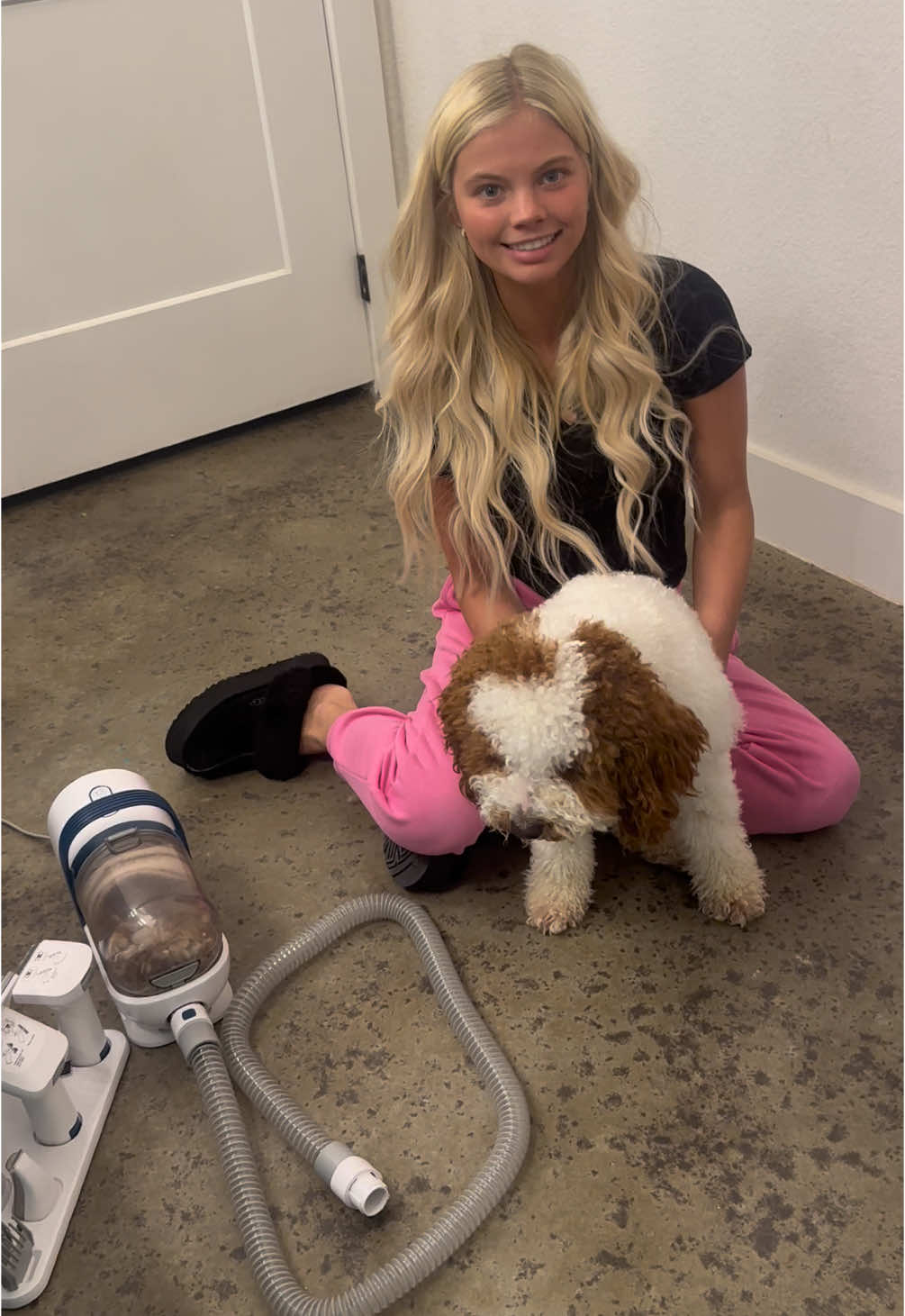 TikTok Shop find…Dog Grooming made easy!!!  #dog #grooming #minigoldendoodle #dogvacuum #petgrooming 