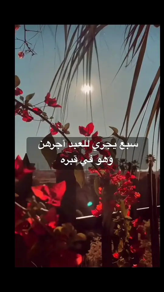  يا حي يا قيوم برحمتك أستغيث أصلح لي شأني كله ولا تكلني إلى نفسي طرفة عين 💐  #اكبسلوووررررررر #القران_الكريم #سبحانك_ربي_مأعظمك #الرضا_سر_السعادة #الاستغفار_يقضي_الحوائج #الابتلاء_اختبار_قوة_استعانتك_بالله🌙🌾 #انشراح_للصدر_تهدئه_للنفوس_انه_القران #اللهم_صل_وسلم_وبارك_على_نبينا_محمد 