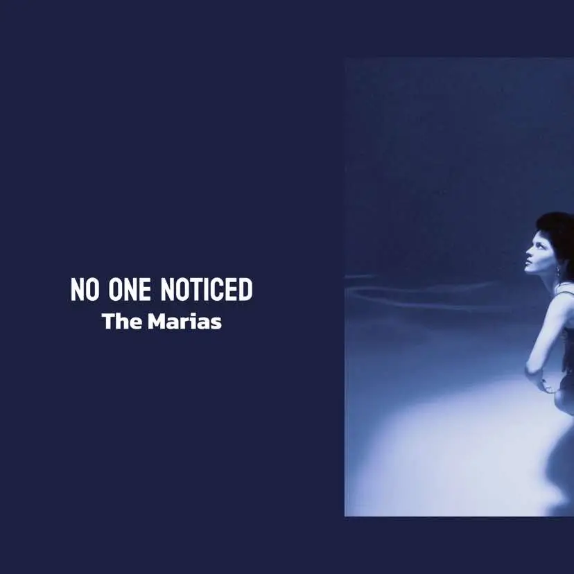 || No One Noticed - The Marias || #noonenoticed #themarias #lyrics #music #spotify #lyricsvideo #fyp #foryou #fypage 