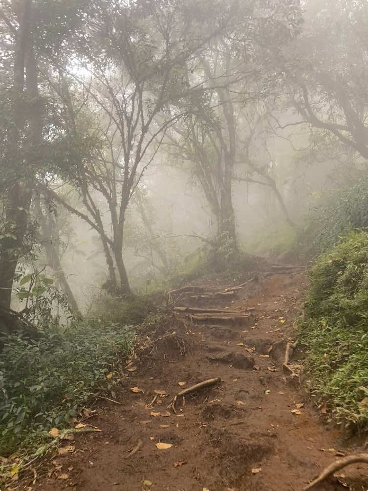 bahan sw mu #beranda #naikgunung 