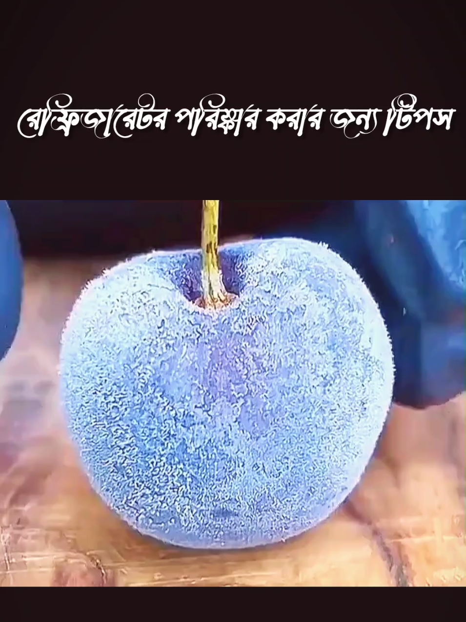 রেফ্রিজারেটর পরিষ্কার করার জন্য টিপস #Bangladesh #lifetips #lifehacks #dailylife #fyp #Lifestyle #mrfcreation #foryoupage #kitchinehack #বাংলাদেশ 