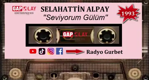 Selahattin Alpay - Seviyorum Gülüm 1993  #kesfet #kesfetteyiz #kesfetbeniöneçıkart #kesfett @radyo_gurbet @fillizi @ceylanmuzik @dammrci88damar88