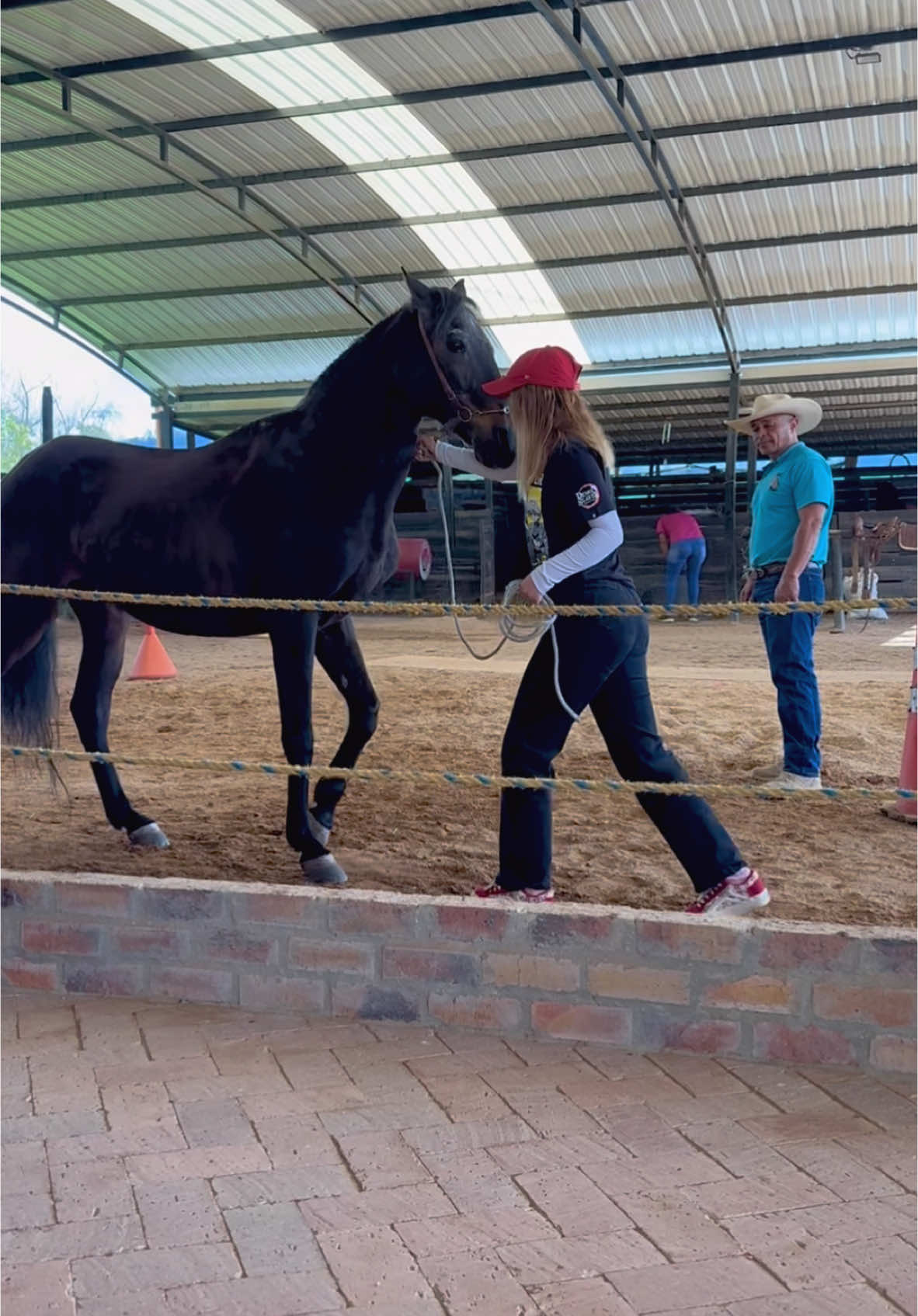 #caballos #colombia 