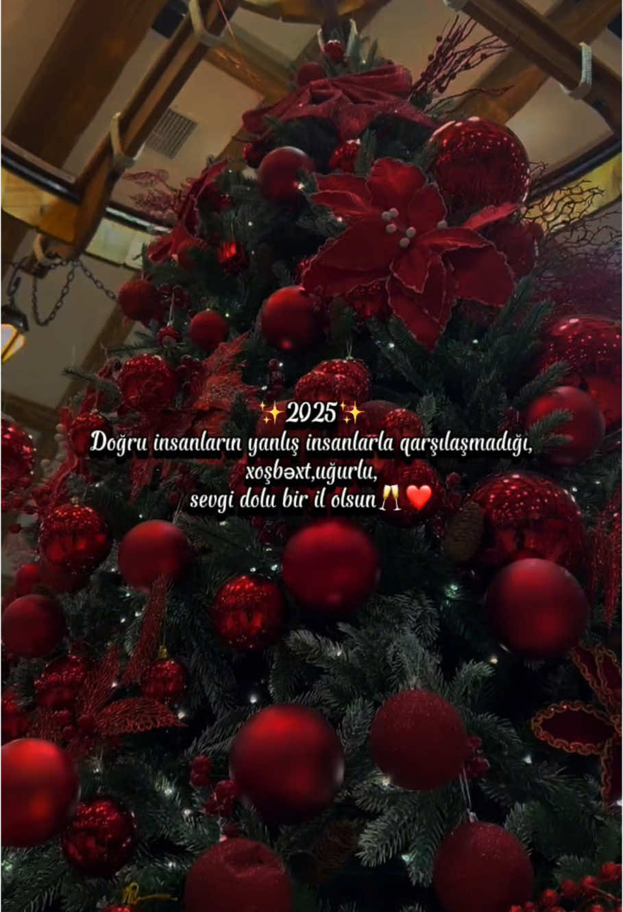 Xoş gəl!🥂🎄 #2025 #yeniil #yeniilinizmubarek #yeniil2025 #amoremuzik #viralvideo 