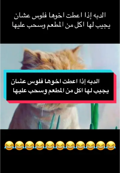 الدبه إذا اعطت اخوها فلوس عشان يجيب لها اكل من المطعم وسحب عليها ههههههههههههههههههههههههه#اكسبلورexplore #ضحك #ضحك😂 #ضحك_وناسة #ضحكة @عبدالله ال فروان 