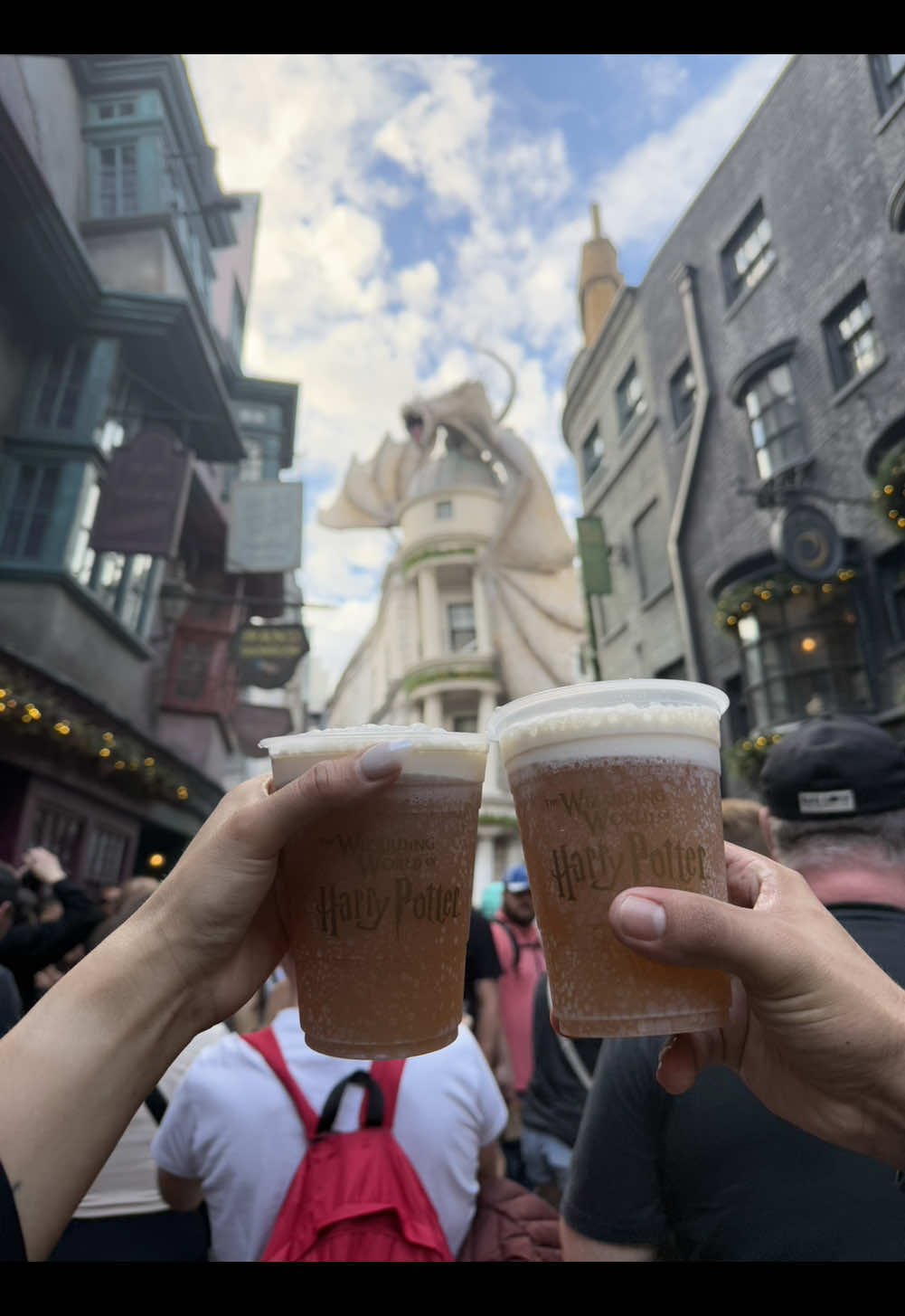 Hogwarts is my home 🧙🏼🪄✨ #Harrypotter #Hogwarts #UniversalStudios #Wizard #Christmas #Honemoon #Diagonalley #Hogsmade #Fyp