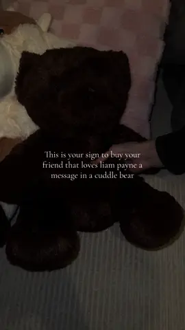 ❤️🐻  #onedirection #liampayne #loveyou #messageinacuddle #bear #teddy #cow #blackbird 