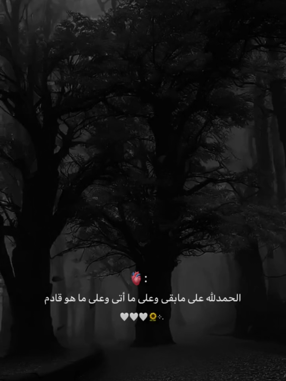 اللَّهُم إن هذا القلب أمره بيدك  فاجبره جبراً يليق بكرمك وجود عطائك وجمله بطاعتك وأغنه بفضلك #يَآآللَّه ❤️‍🩹