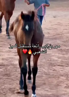 #اللهم_صل_وسلم_على_نبينا_محمد🤲😍 #تصويري📸 #اعادة_النشر🔃 #المصور_عبدو_الطفيل📸 ##الحاجه_المليحه #مهر_مشالله#تبارك_الله❤️🧿 