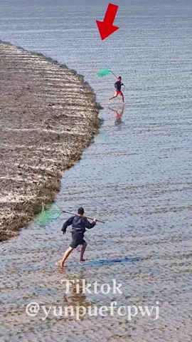 Fishermen stand at the Qiantang River bank. As the tide rushes in with fish, they swiftly dip nets into the surging water, trying to catch fish, a dangerous yet traditional practice.#qiantangriver #China #fyp#viral#tiktok @YunPu  @YunPu  @YunPu @oceanlife-fishing @Nature 