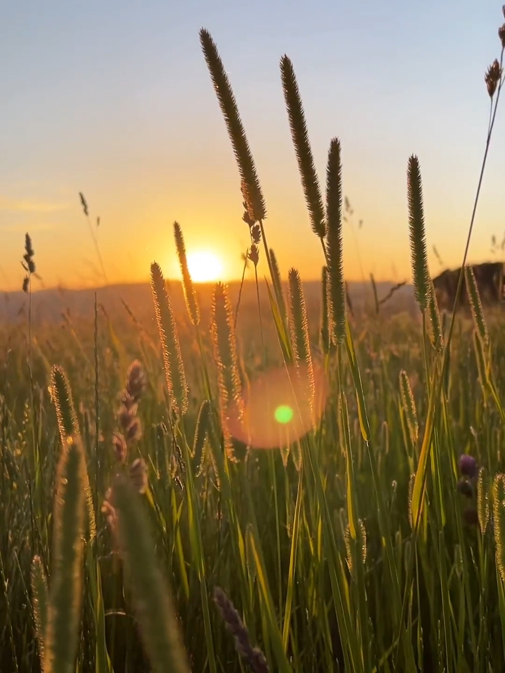 Amazing Sunset / Дивовижний захід сонця #lovestory #Love #lover #loveyou #romantica #romantico #romanticsong #romantic #захід #закат #sunsets #sunset #sunsetlover #reflection #horizon #гори #пейзаж #ночь #ніч #захід #небо #reels #reelsinstagram #explore #nature  #naturephotography #sea #sunset #sunrise #goldenhour #photooftheday #ocean #sky #clouds #amazing #beautiful #love #beach #nature #travel #vacation #reflection #horizon #skylovers #travelgram #sunsets #skylover