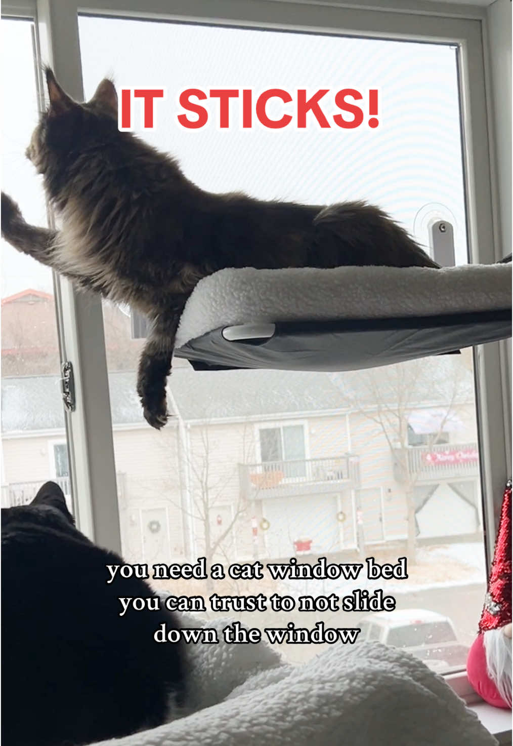 This cat window bed perch is everything and more 🤩 #cat #catsoftiktok #cattok #catwindowbed #catwindowperch #catbed #cathammock #catperch #catwindowhammock #cattips #tiktokshopfinds #mademyyear #newyearnewaura #fyp 