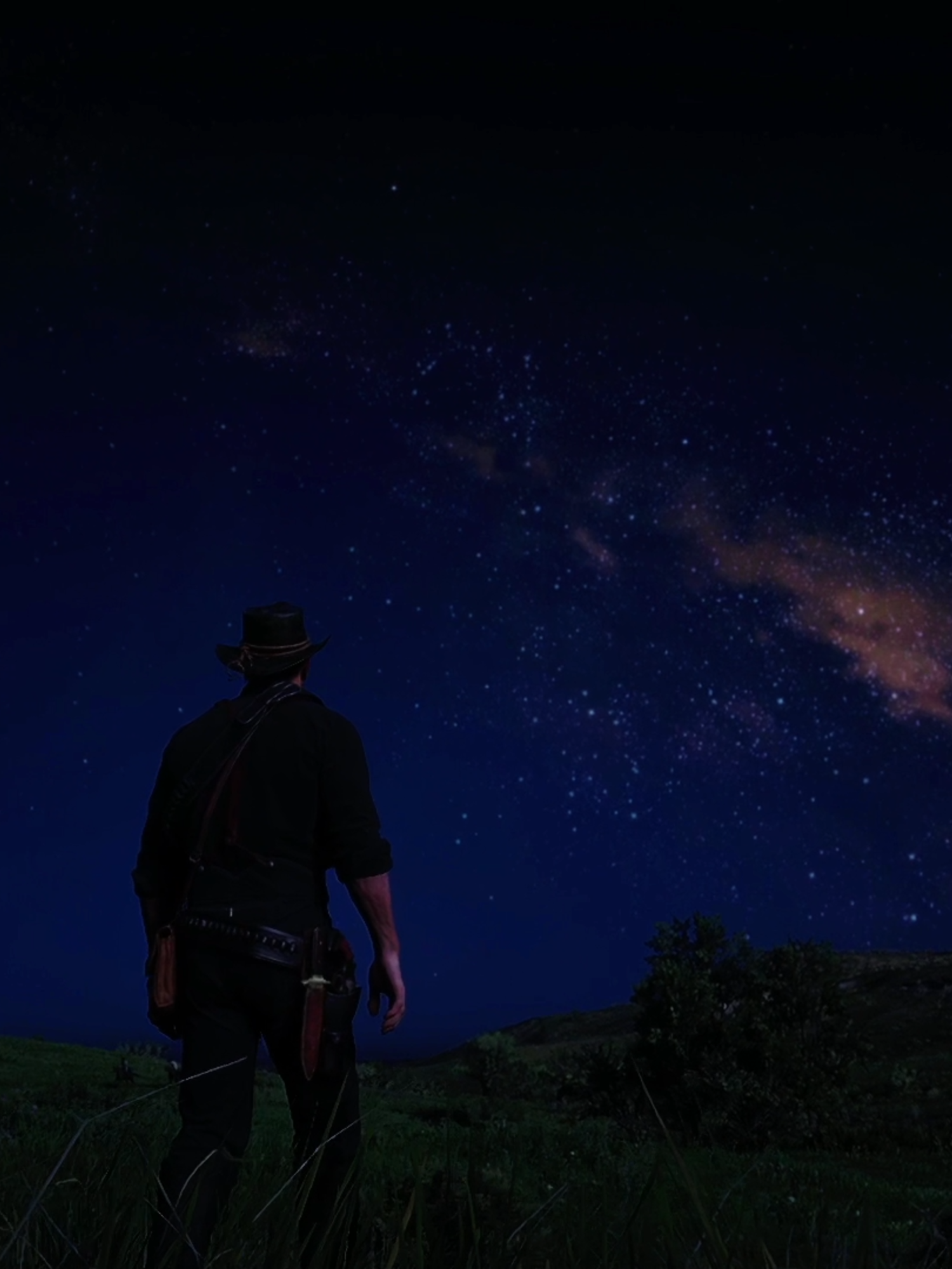 #rdr2 #rdr #reddeadredemption2 #stars #starrysky #arthurmorgan