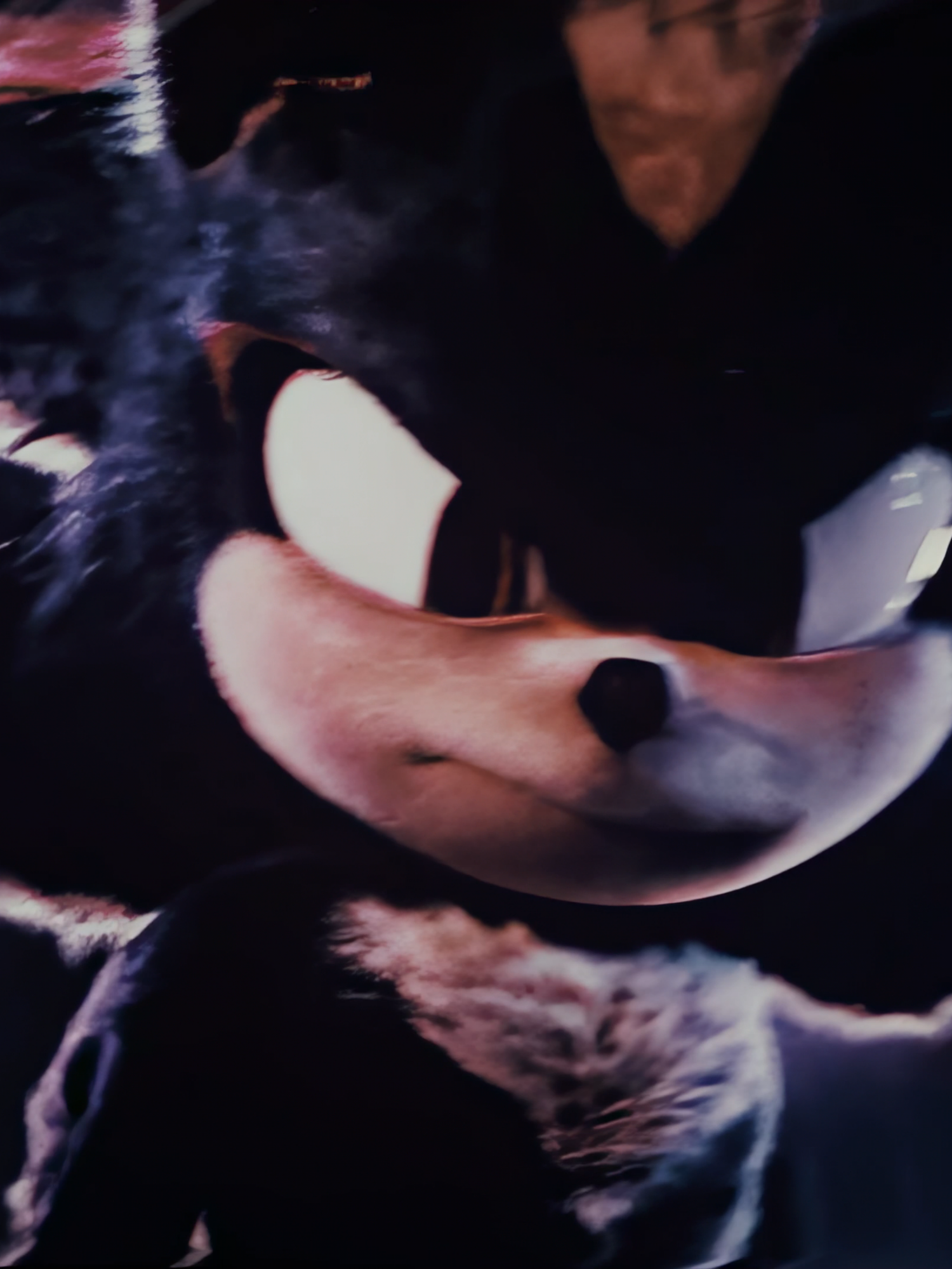 2 edits in a day is crazy work #sonicthehedgehog #sonic3 #fyp #shadowthehedgehog #shadowedit #ae