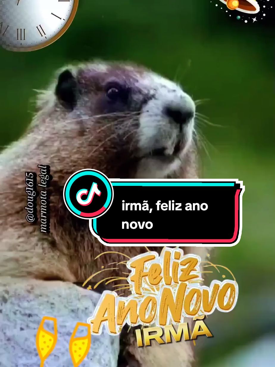 #felizanonovo #irma #irmaos #irmas #marmotagritando #marmota #marmotalegal 