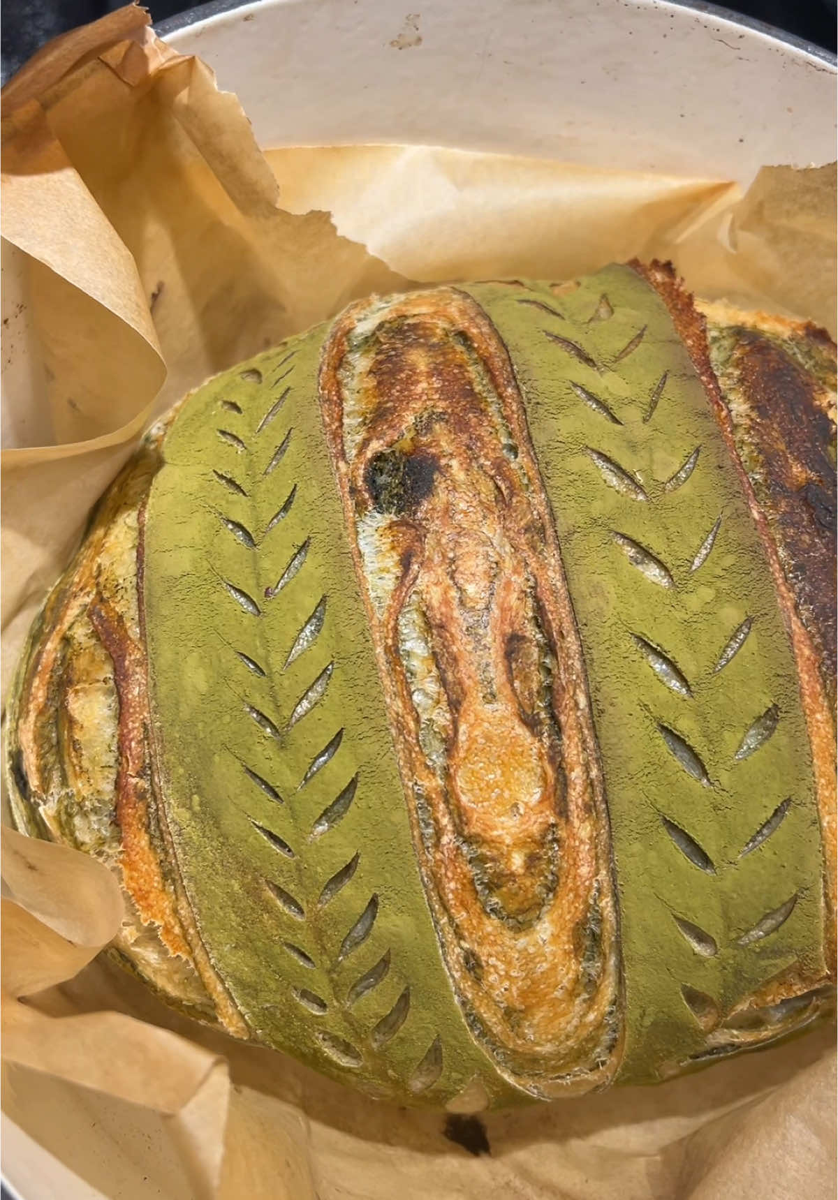 Score and bake my matcha swirl sourdough with me 🍵🥖 #sourdough #sourdoughbread #baking #bread #matcha #fyp 