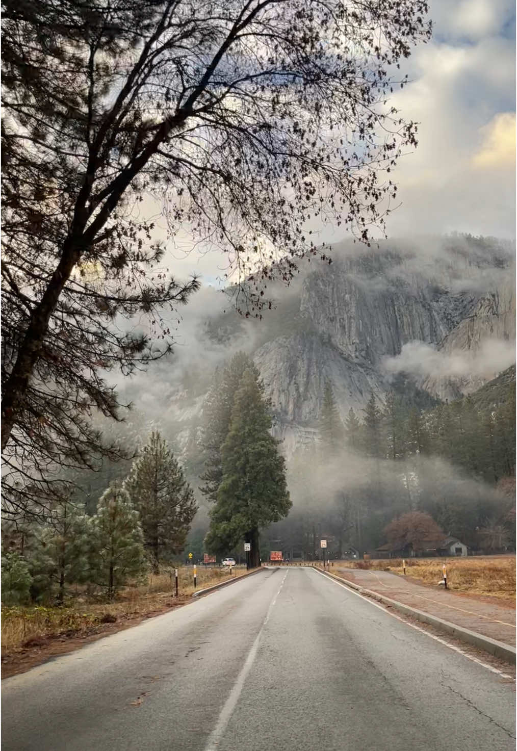 Moody vibes in Yosemite valley❤️  #yosemite #yosemitenationalpark #yosemitevalley #sierras #yosemitefalls #yosemitenps #californiatravel #wilderness #wildernesstherapy #dec2024 