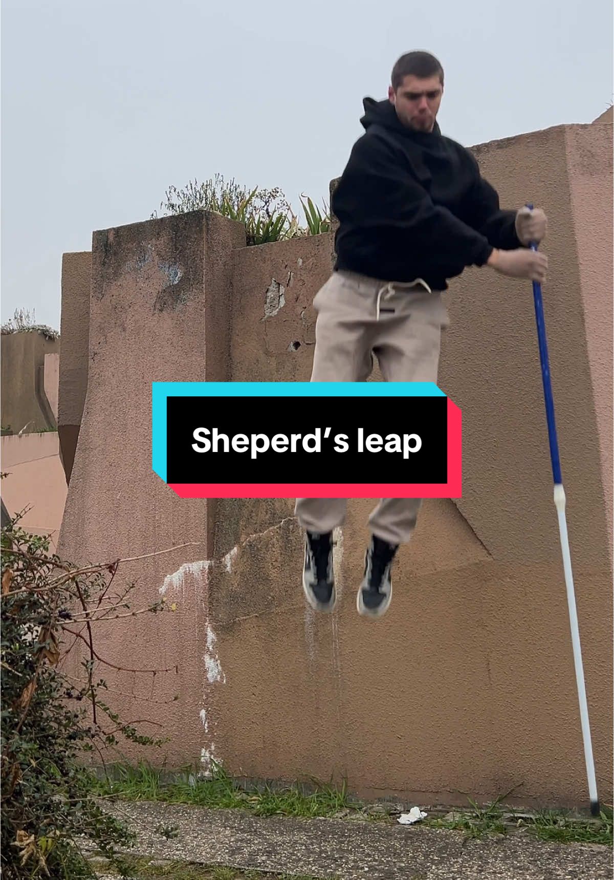 DAY 99 | Sheperd’s leap