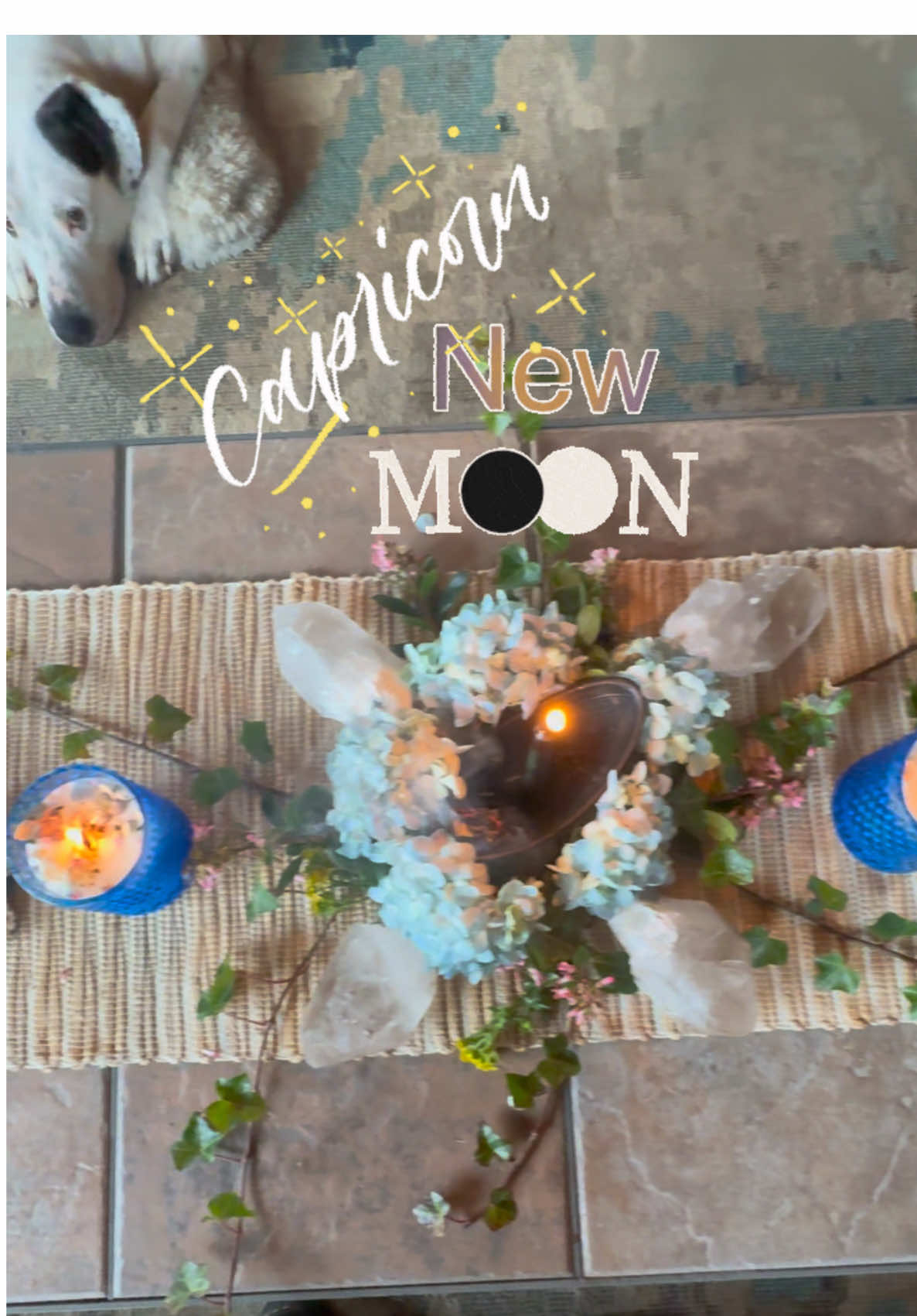 🌑 Happy New Moon in Capricorn ♑️  #moonmagic #moonmagick #newmoon #newmoonritual #newmoonmagic #newmoonmanifestation #newmoonincapricorn #capricornnewmoon #blackmoon #lillith #witchtok #witchtiktok #magick 