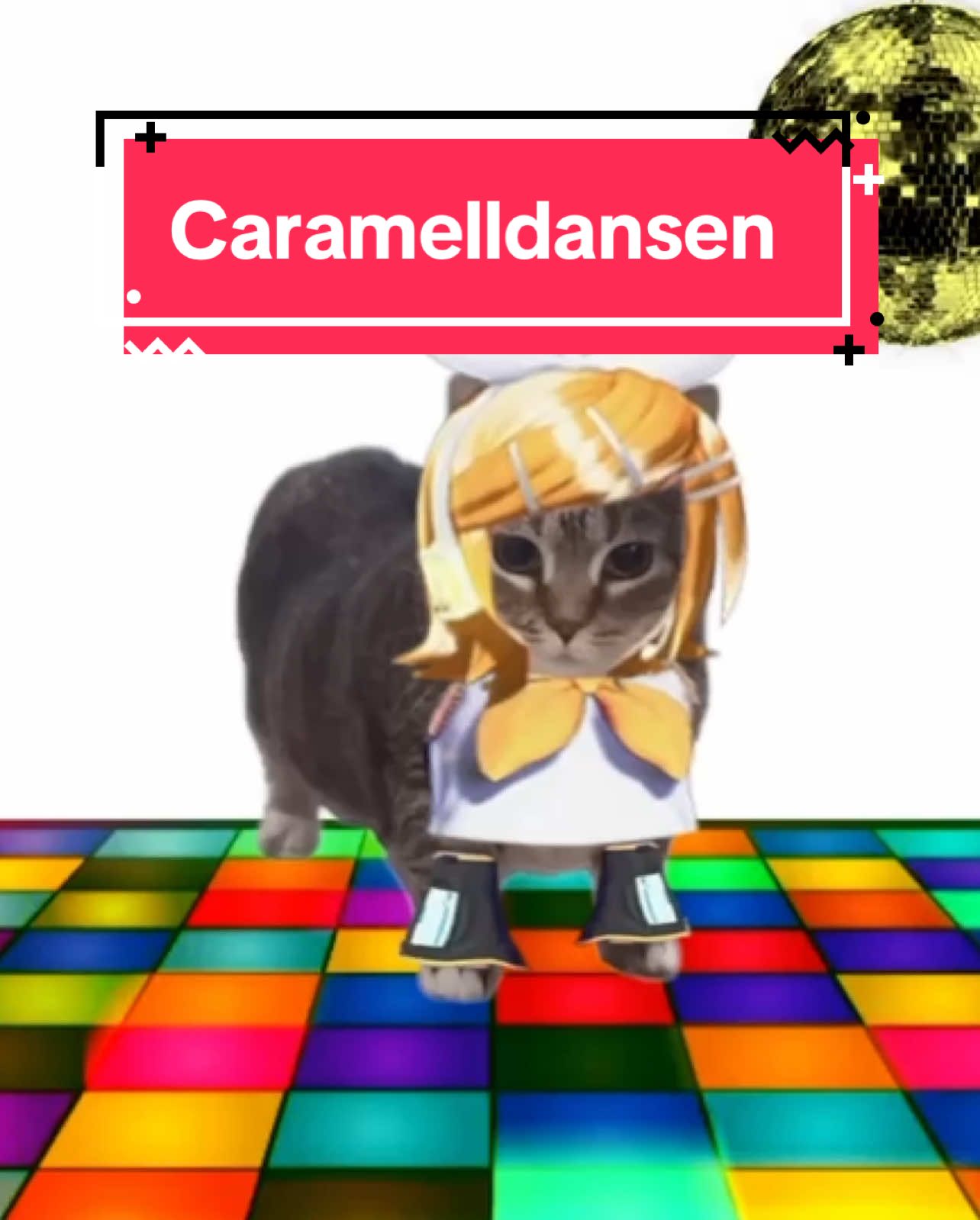 OIA cat sings Caramelldansen! #cats #catsoftiktok 