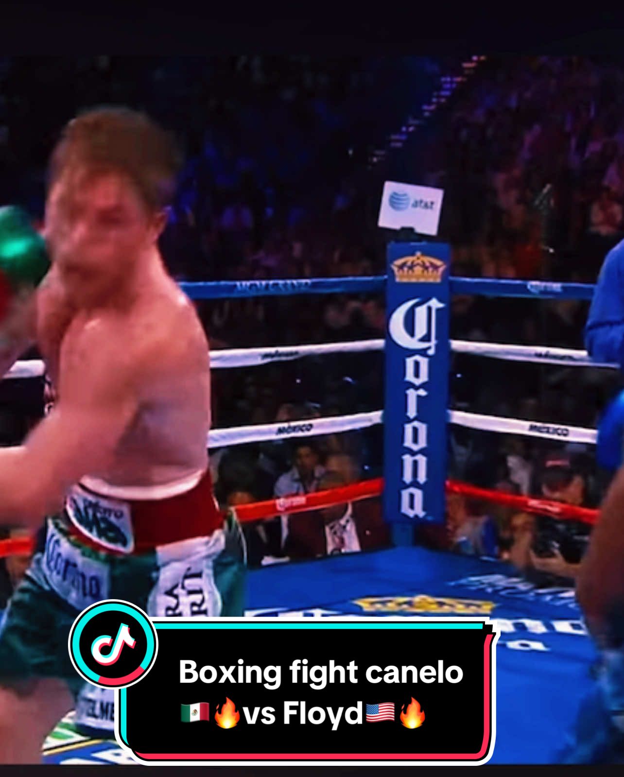 Floyd Mayweather🇺🇸🔥 🆚 Canelo Álvarez🇲🇽🔥🥊 Boxing fight #fypシ゚viral #boxingfight👊🥊 #canelovsfloyd 