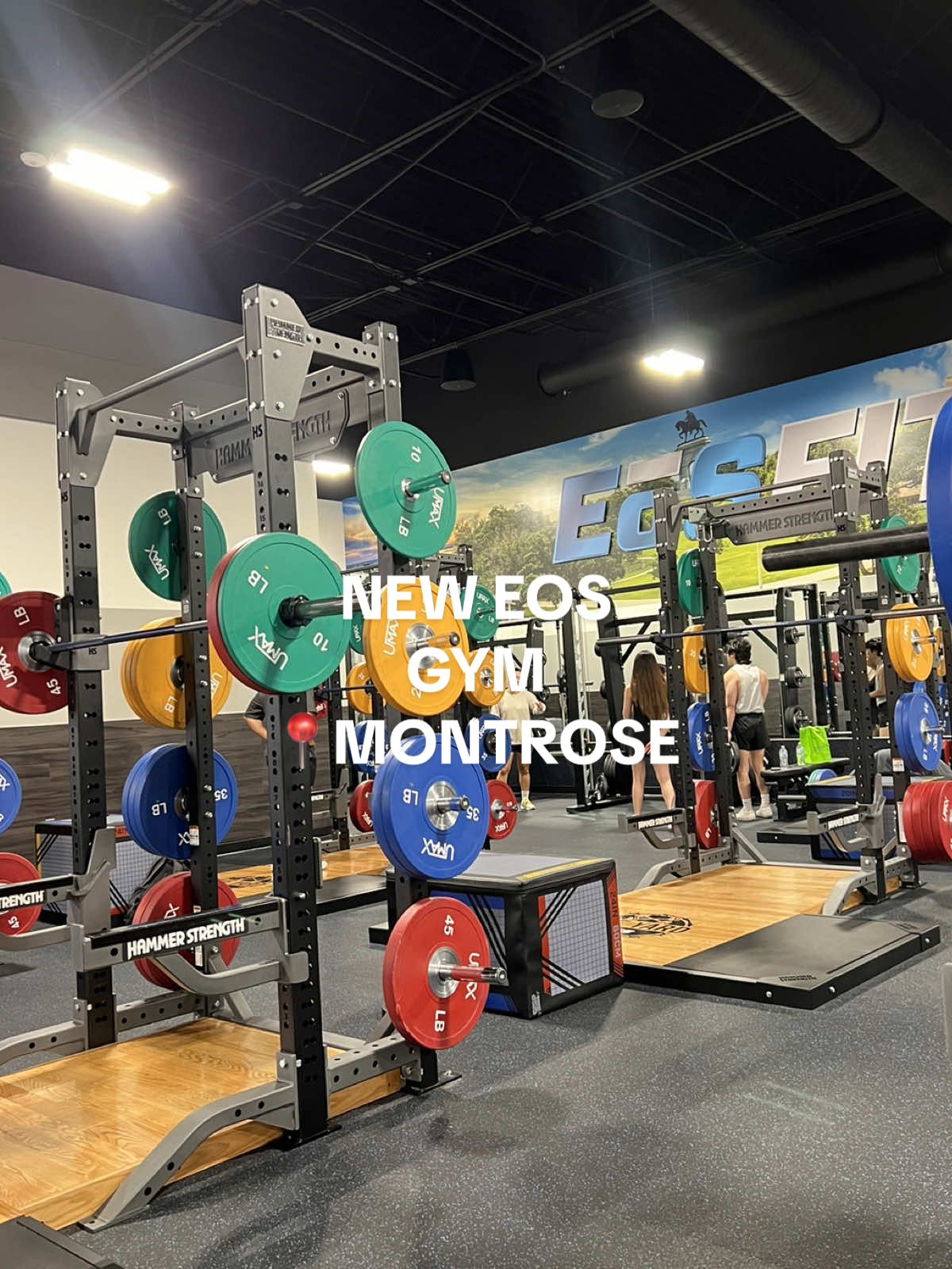 New Eos gym in Montrose (Houston, Tx) ⭐️  Parking was NOT an issue here at all which was one of the main reasons i didn’t like going to the Allen Pkwy one.  It’s a pretty small space compared to the Sugarland one and don’t think they have group classes (yet).  so now that they opened this one up.. gym content again? 👀  ⭐️⭐️What are your gym goals for 2025?  #gym #eosgym #htx #houston #montrose #workingout #gymmotivation #gymgirl #workoutroutine #workoutvideo 