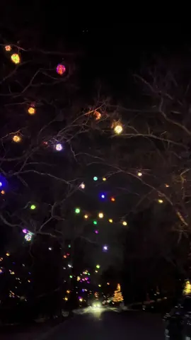 Love going to see the lights in Sunset Hills neighborhood in Greensboro, NC! 