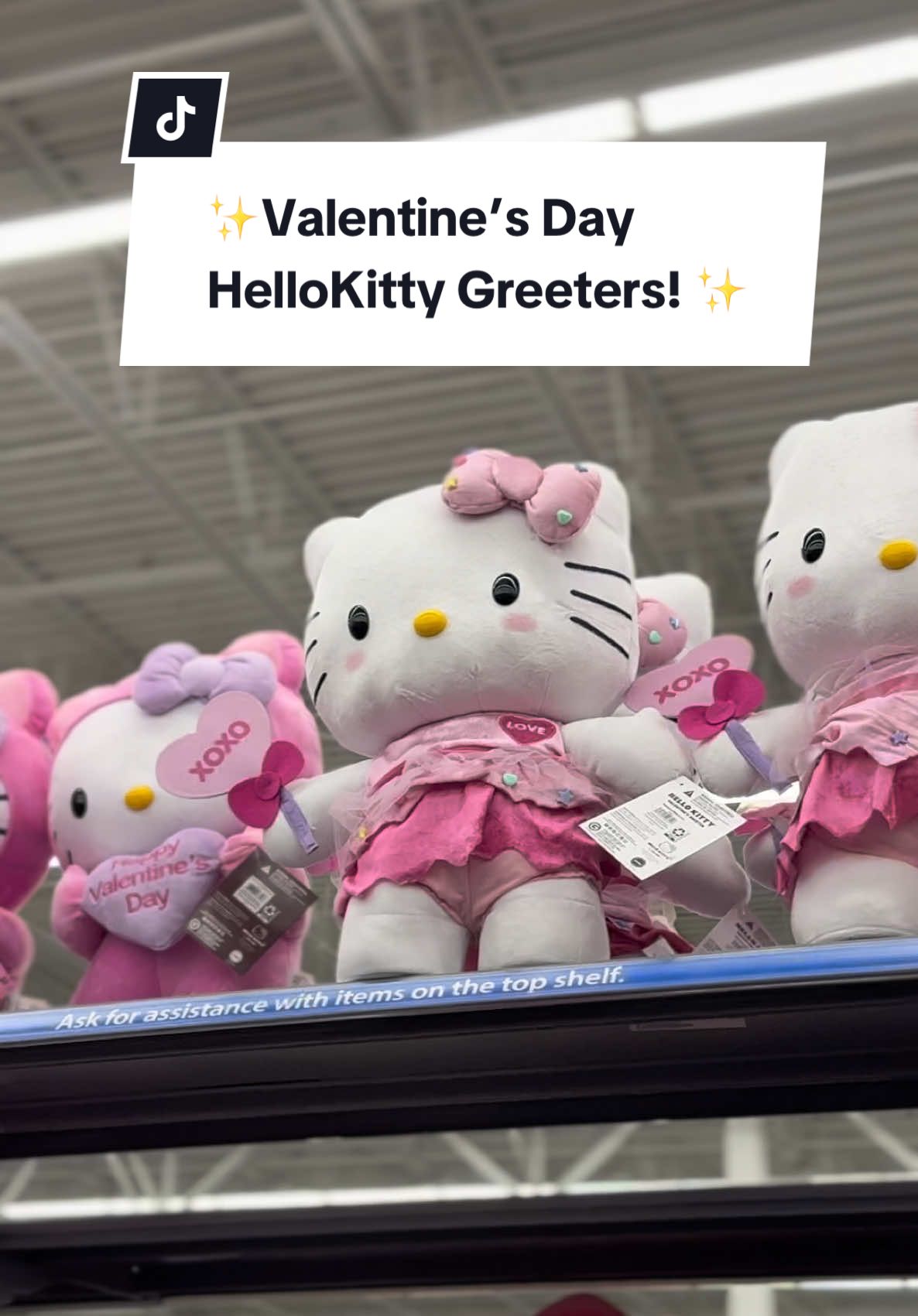 ✨Walmart Hello Kitty Greeter ✨ 🧸Walmart has the cutest Hello Kitty  merchandise this year ✨🩷 I’m so happy with my finds! @hellokitty @Walmart #hellokitty #hellokittylover #hellokittylovers #valentinesdaygift #hellokittyandfriends #hellokittygirl #hellokittycheck #hellokittyfinds #hellokittycore #hellokittyhunting #hellokitty😻 #hello #gatita #f #fyp #foryoupage #foryourpage #happy #viraltiktok #walmartfinds #walmart 