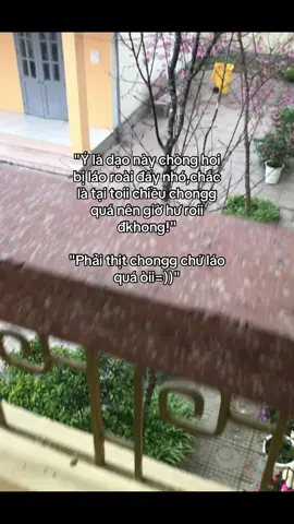 #xuhuong #bbaibi77 #xh #yeuanh thịt thôi