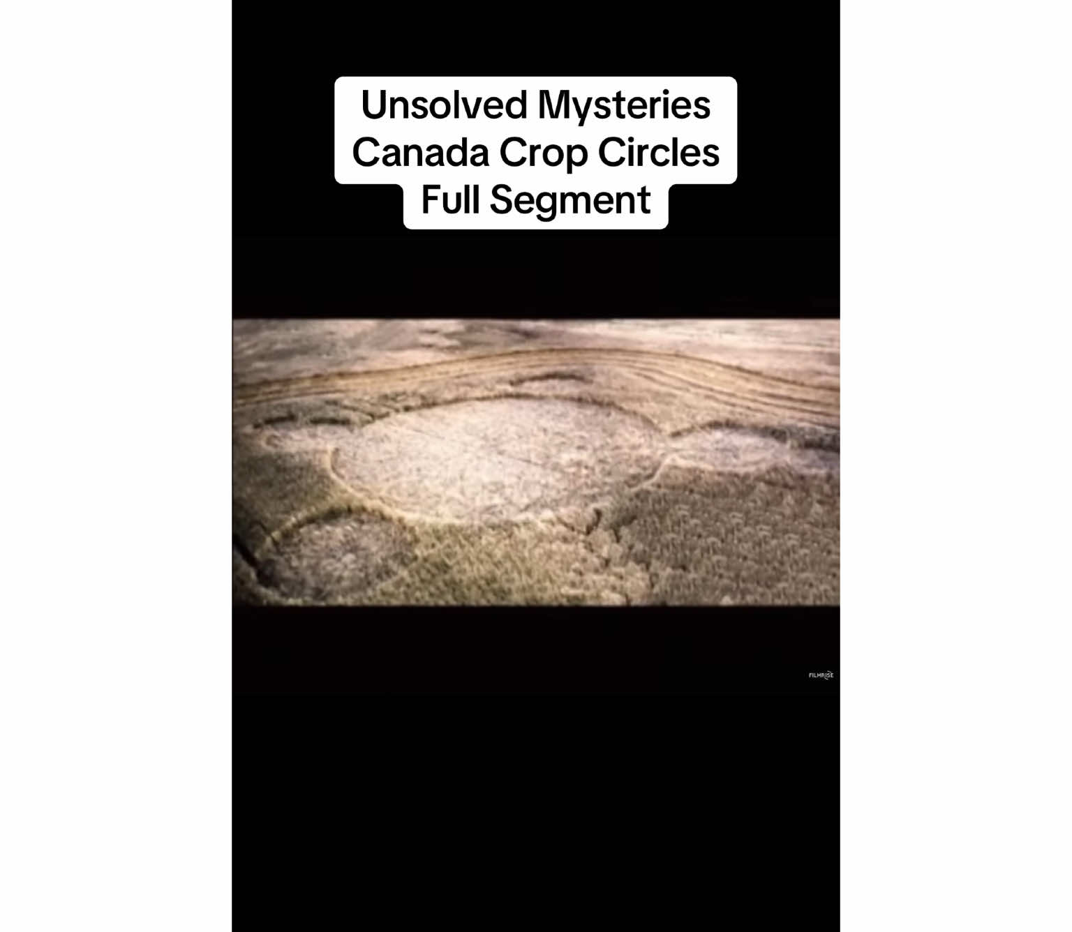 Unsolved Mysteries Canada Crop Circles Full Segment #unsolvedmysteries #robertstack #fyp #fy #fypシ #foryoupage #foryou #for #you #page #viral #viralvideo #viraltiktok #makeitgoviral #canada #canada🇨🇦 #🇨🇦 #🍁 #crop #circle #cropcircles #ufo #aliens #👽 #🛸 #thistle #barley #unexplained #farm #tractor 