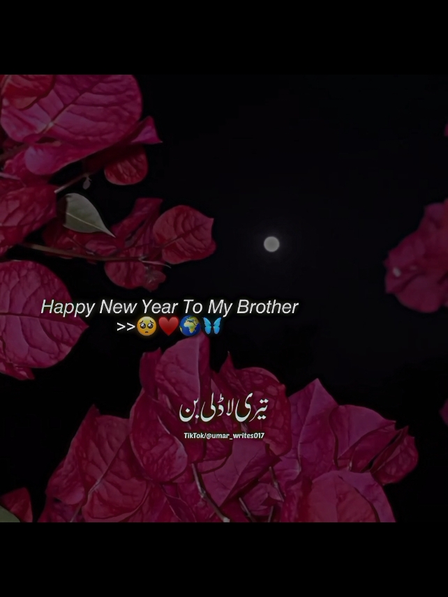 happy new year my brother 🎉❤️