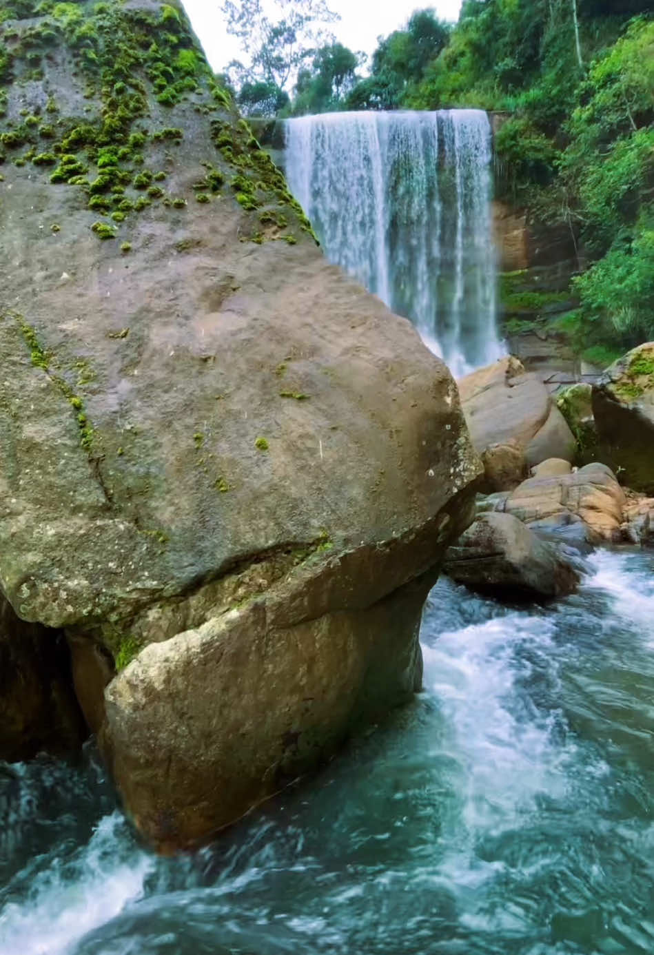 Nalagana Ella Falls | නලඟන ඇල්ල 🍃🇱🇰 #nalaganaella #nalaganaella_srilanka #srilanka #srilankantraveller #falls #bulathkohupitiya #sabaragamuwa #dolosbage #trending #onemillionauditio #shengamage1 